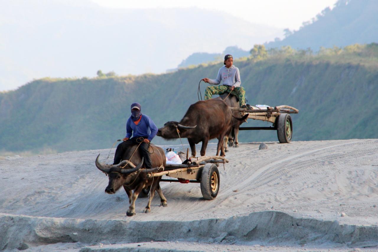 Bognot Lodge : Alvin Bognot Mt Pinatubo Guesthouse And Tours Santa Juliana Bagian luar foto